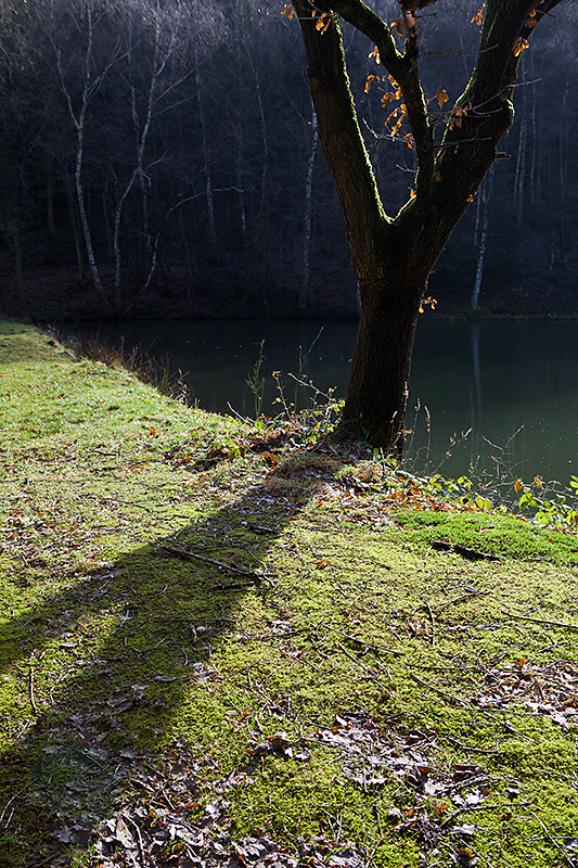 Licht und Schatten