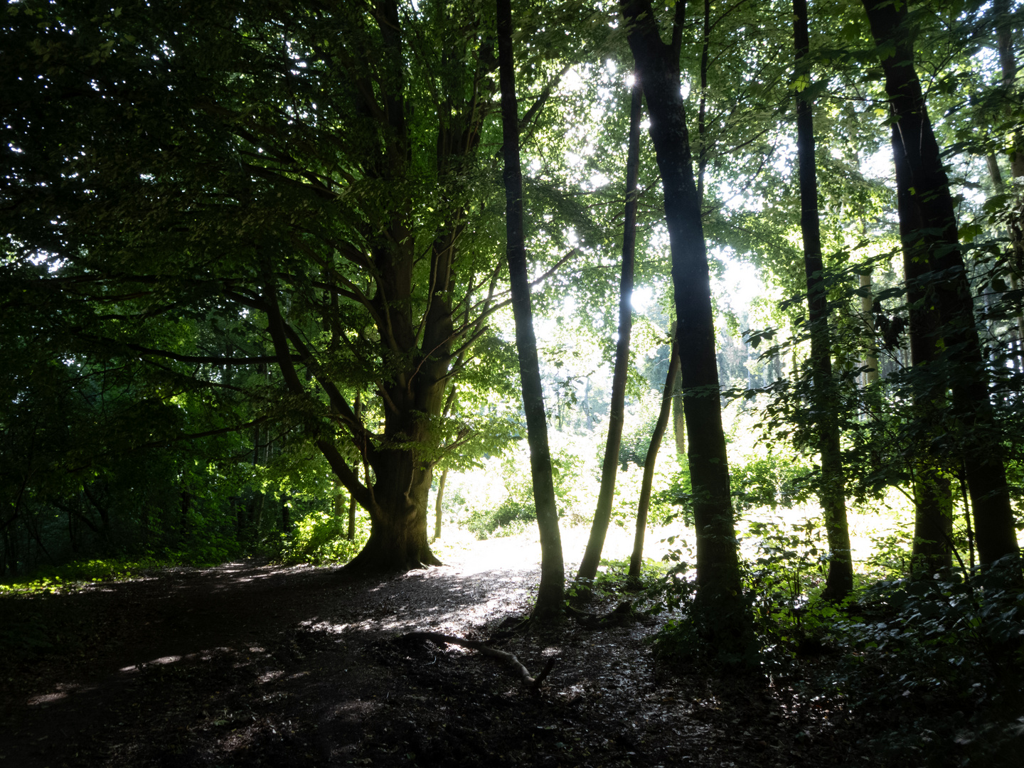 Licht und Schatten Foto & Bild projekte, thementage, 7 sonntag mit sonne Bilder auf