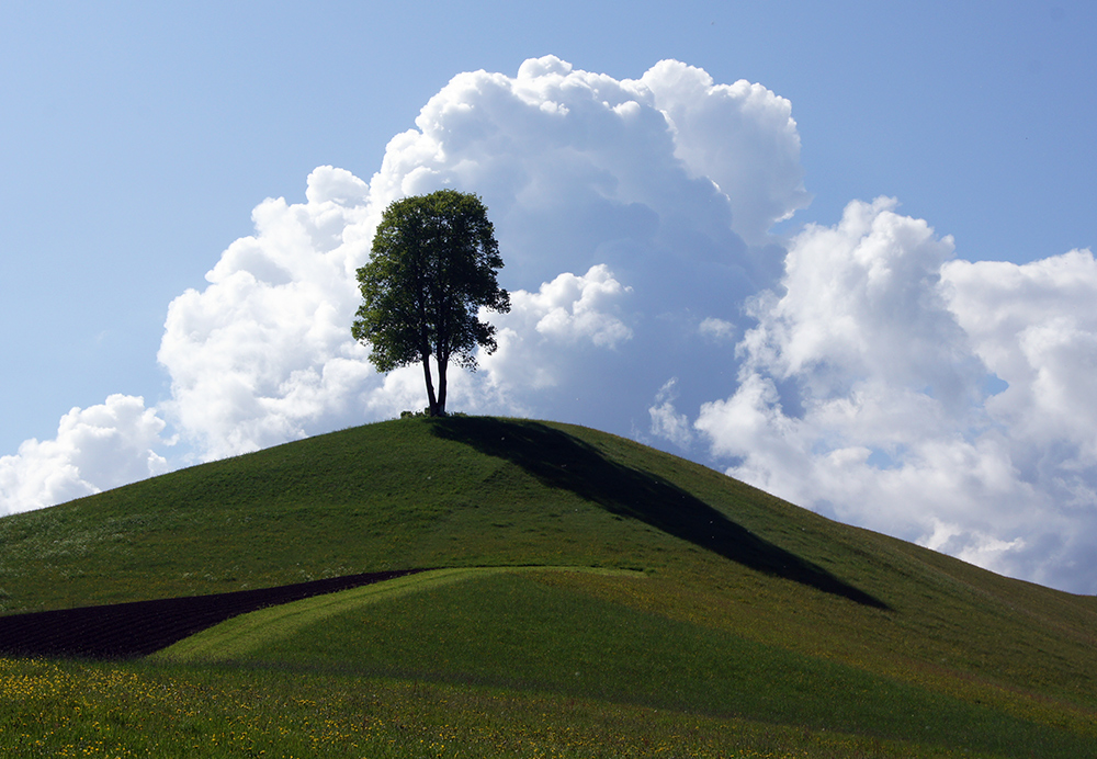 Licht und Schatten