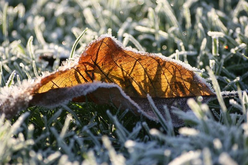 Licht und Schatten