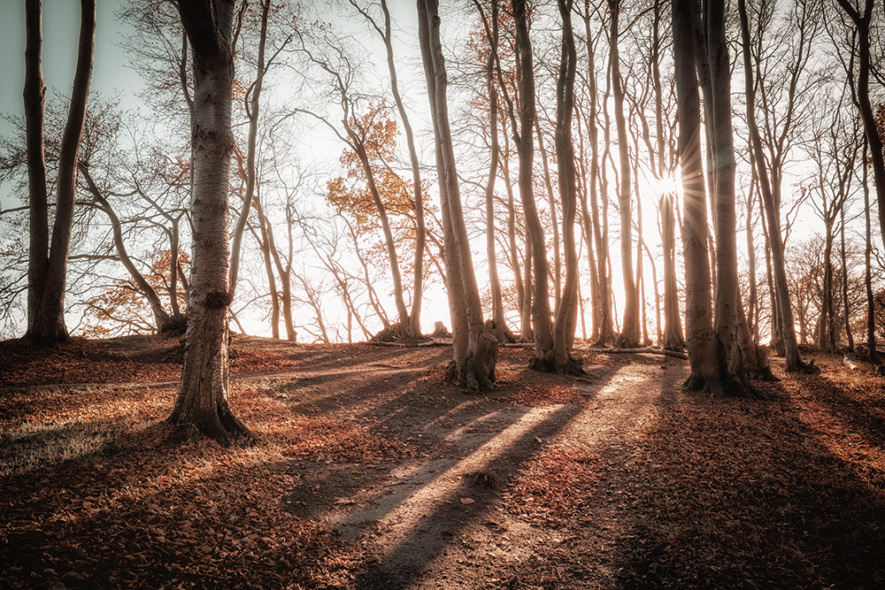 Licht und Schatten