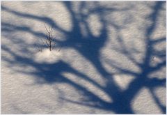 Licht und Schatten (3)