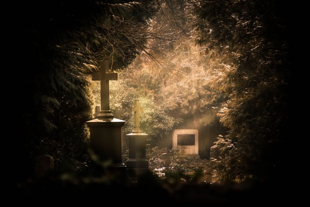 Licht und Schatten Foto &amp; Bild stillleben, landschaft, garten