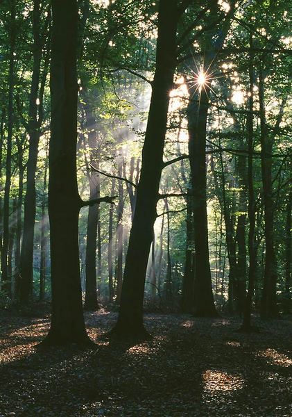 Licht und Schatten