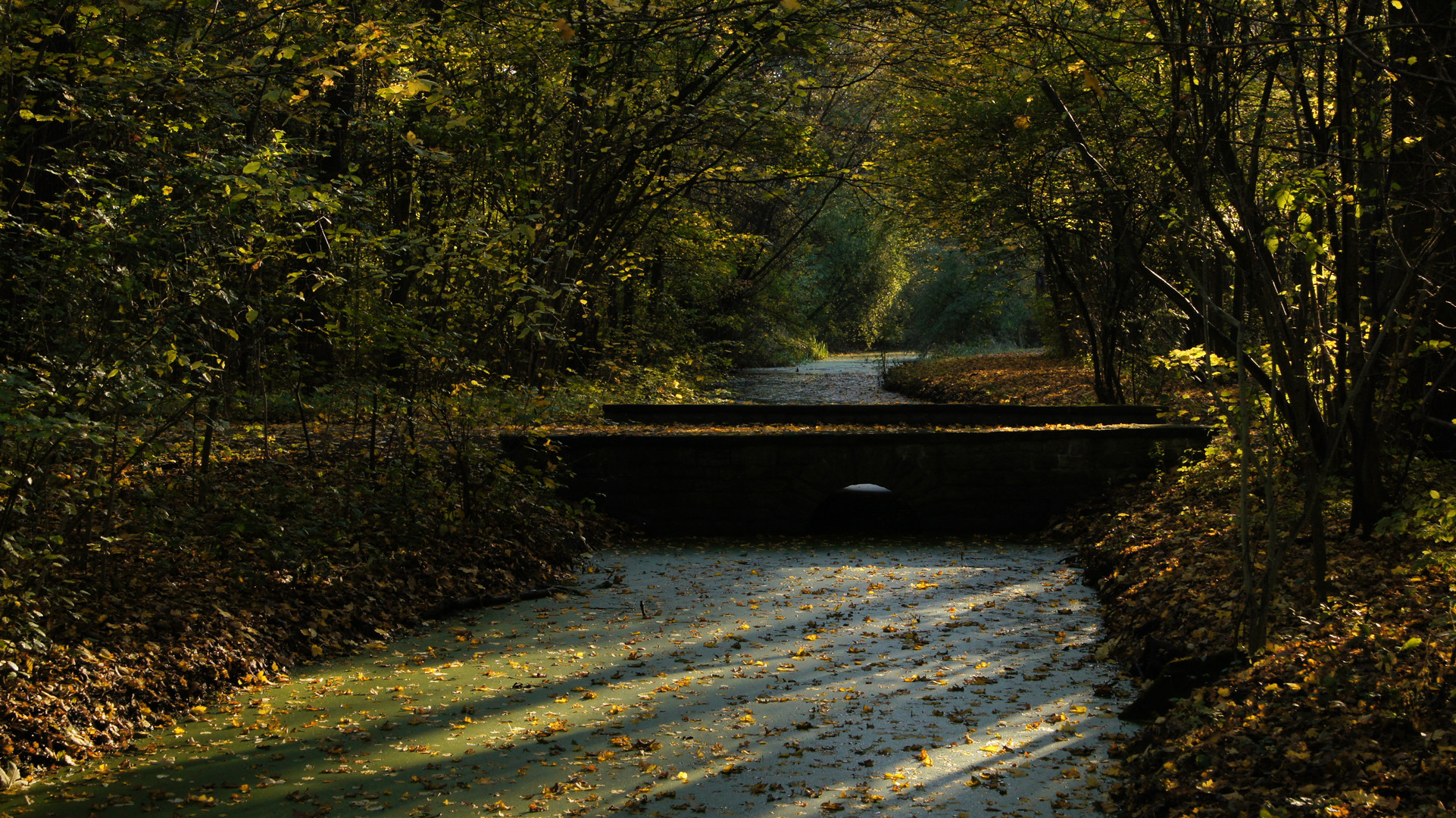 Licht und Schatten