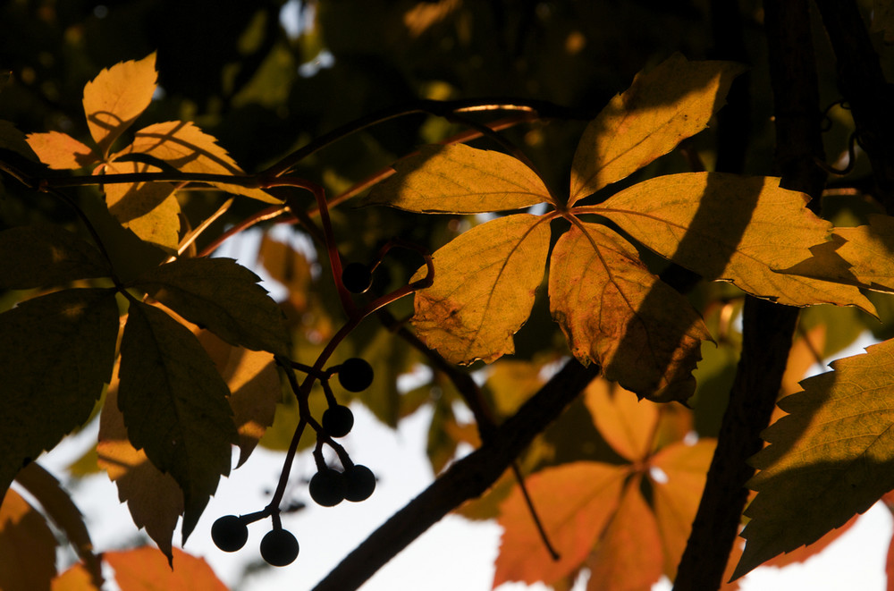 Licht und Schatten