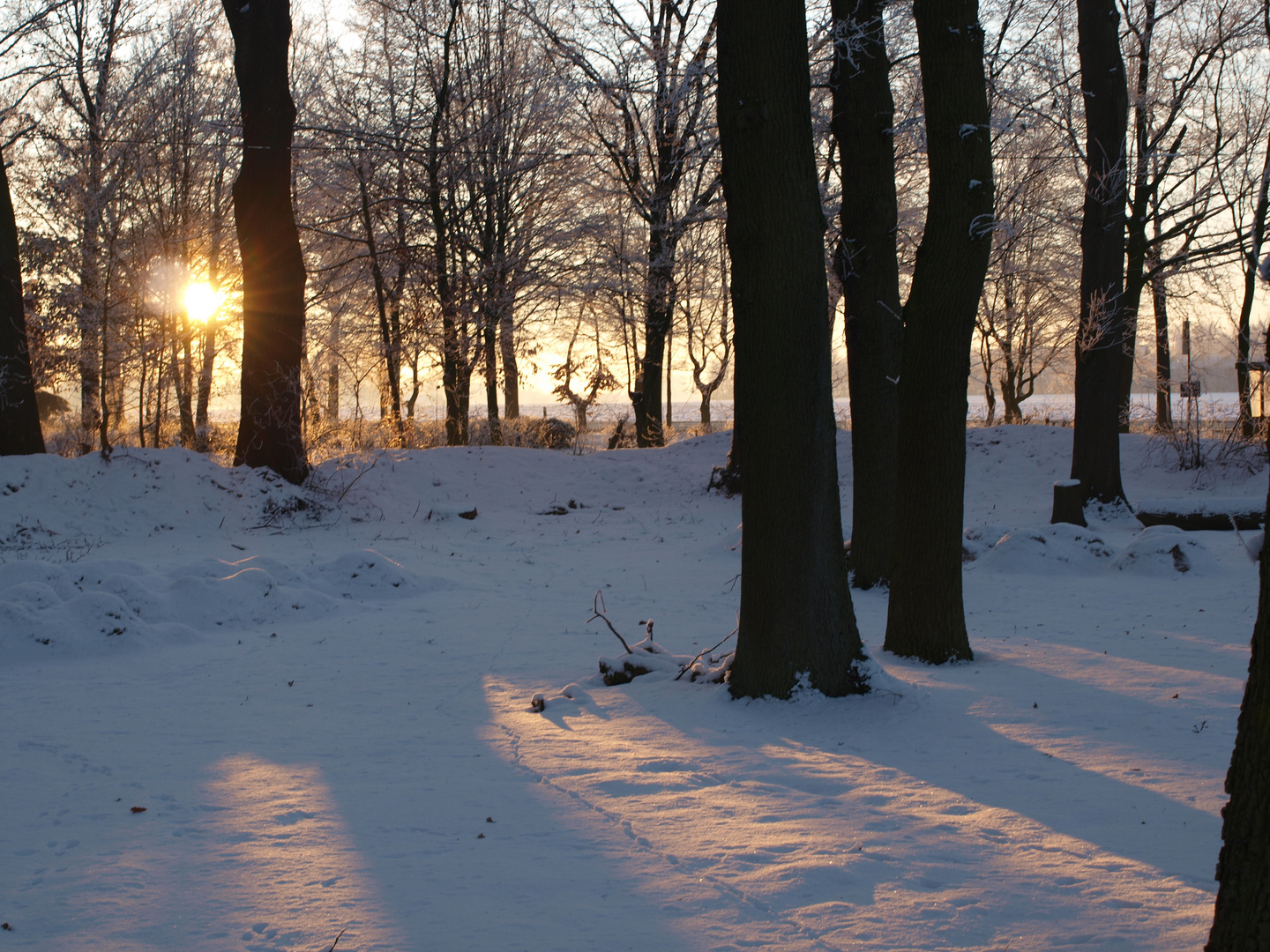 Licht und Schatten