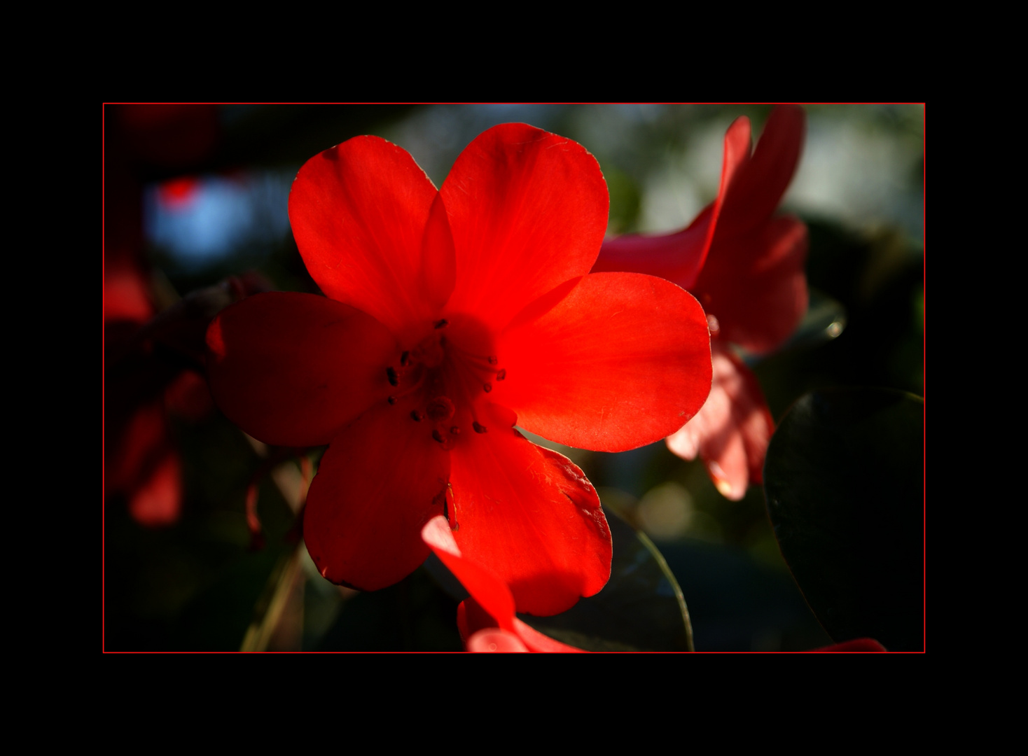 Licht und Schatten