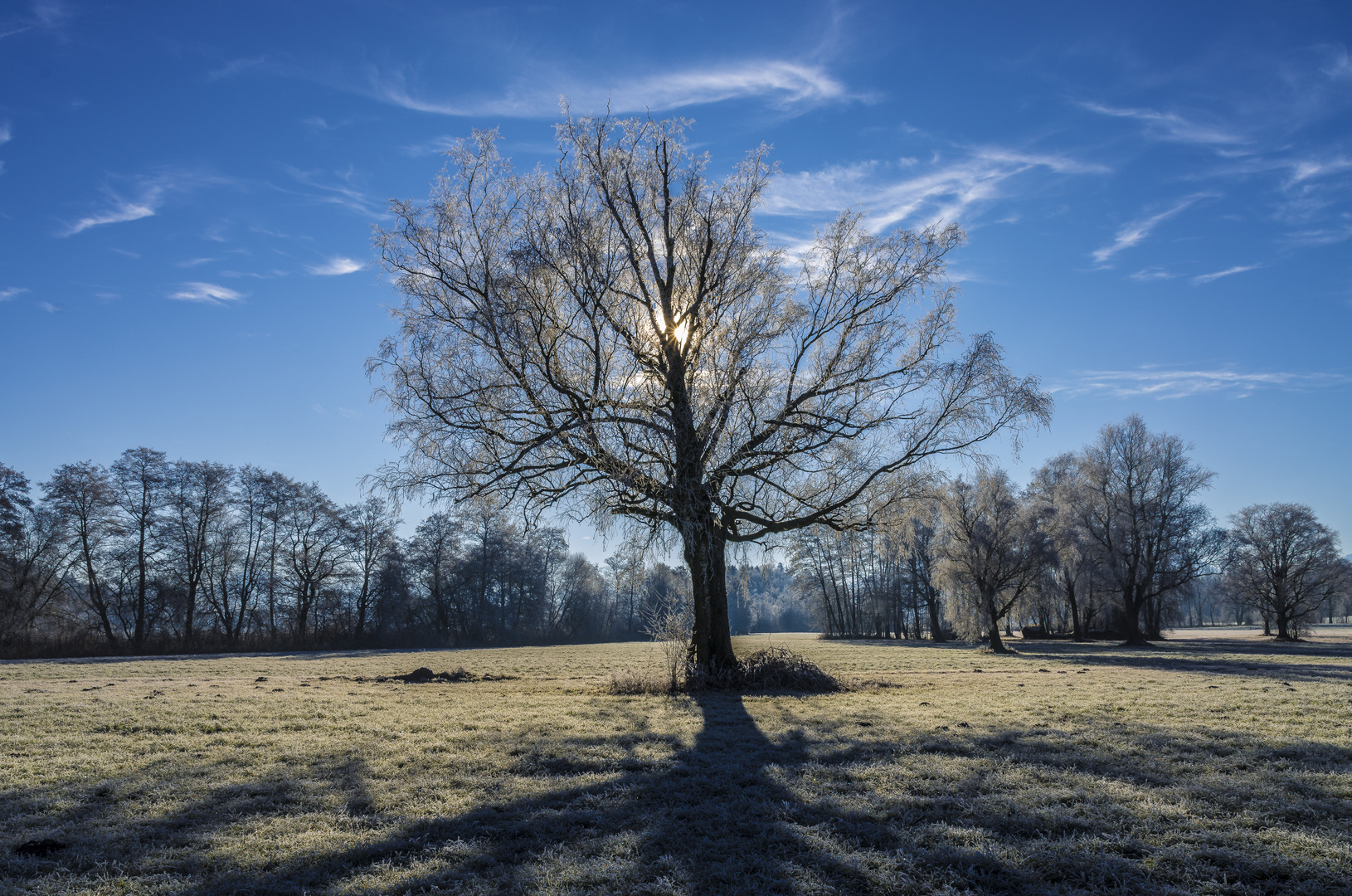 Licht und Schatten