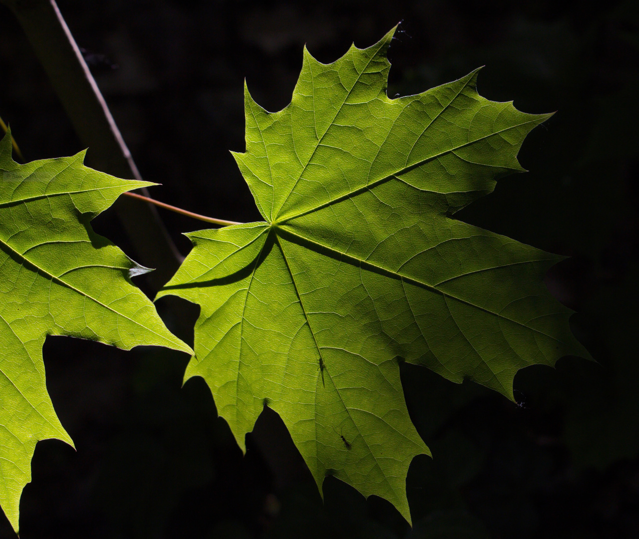 Licht und Schatten