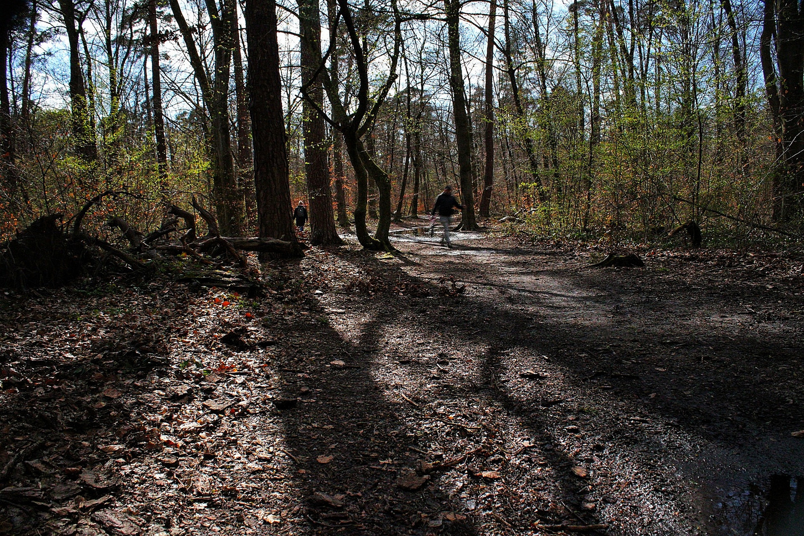 Licht und Schatten 