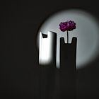 Licht und Schatten