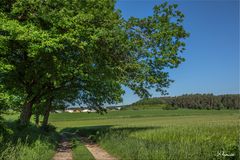 Licht und Schatten