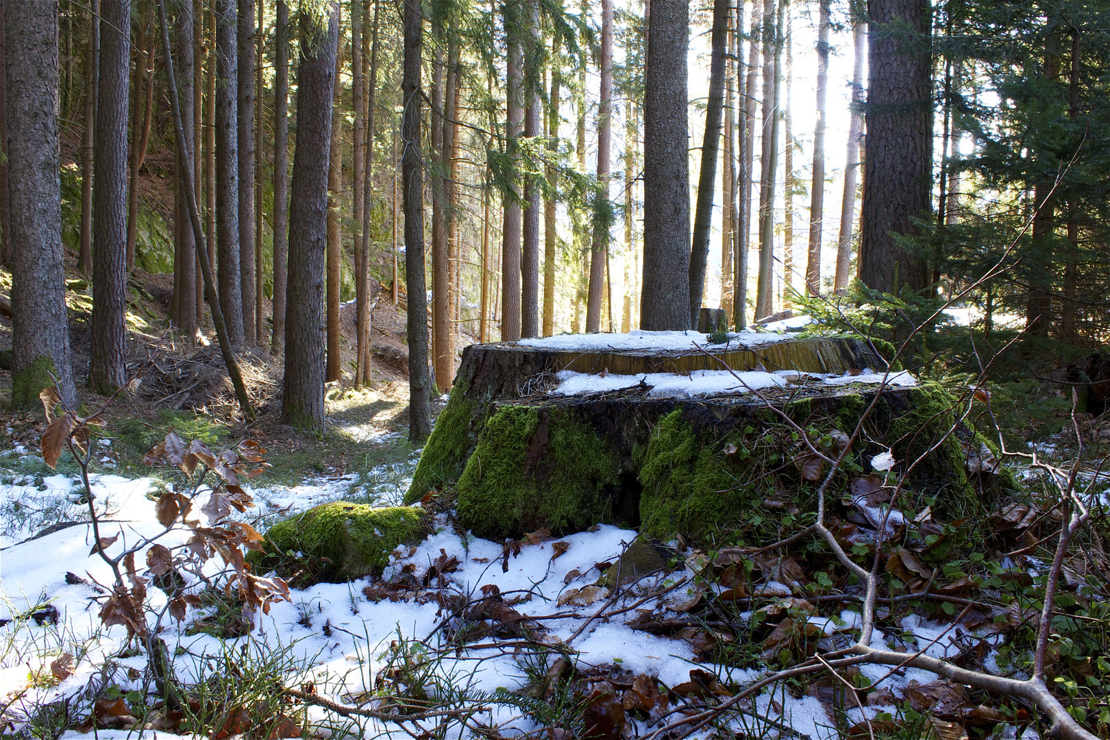 Licht und Schatten