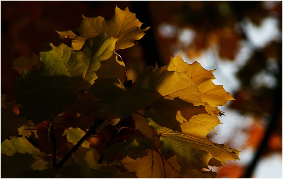 Licht und Schatten