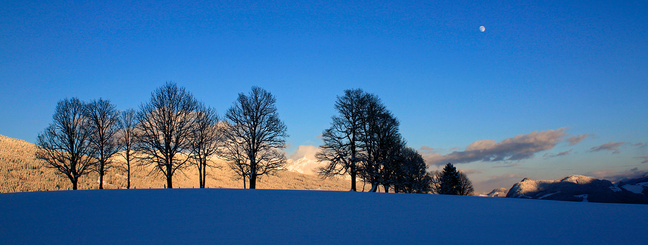 Licht und Schatten