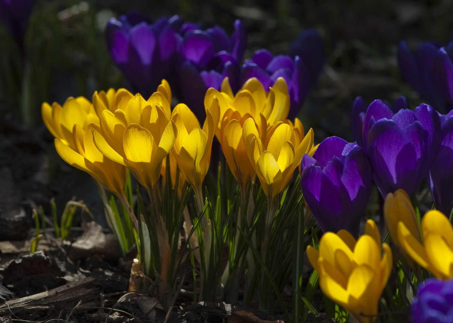 Licht und Schatten