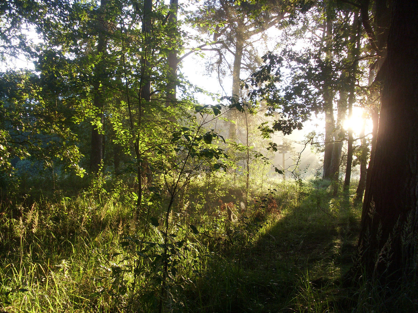 Licht und Schatten