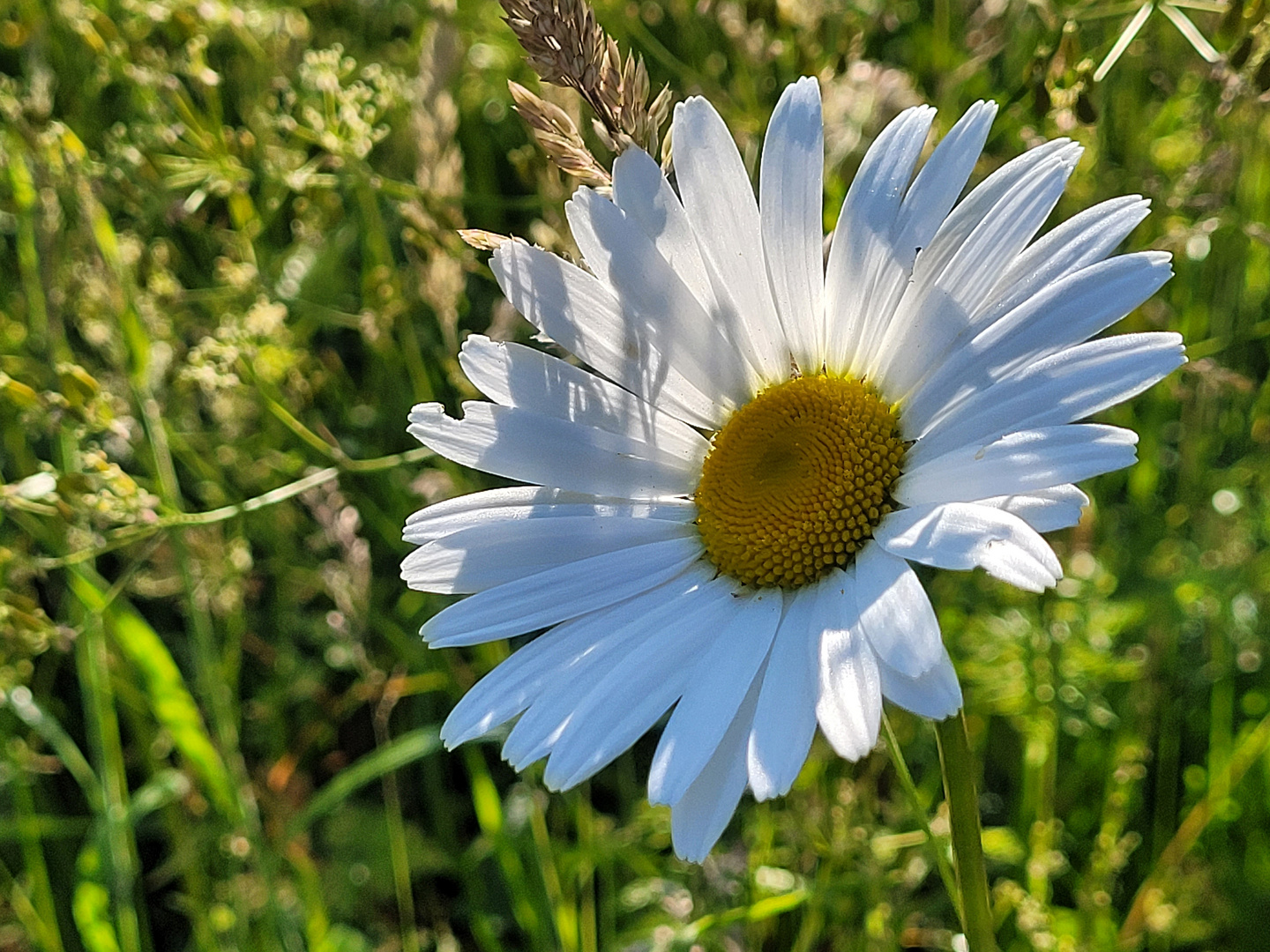 Licht und Schatten