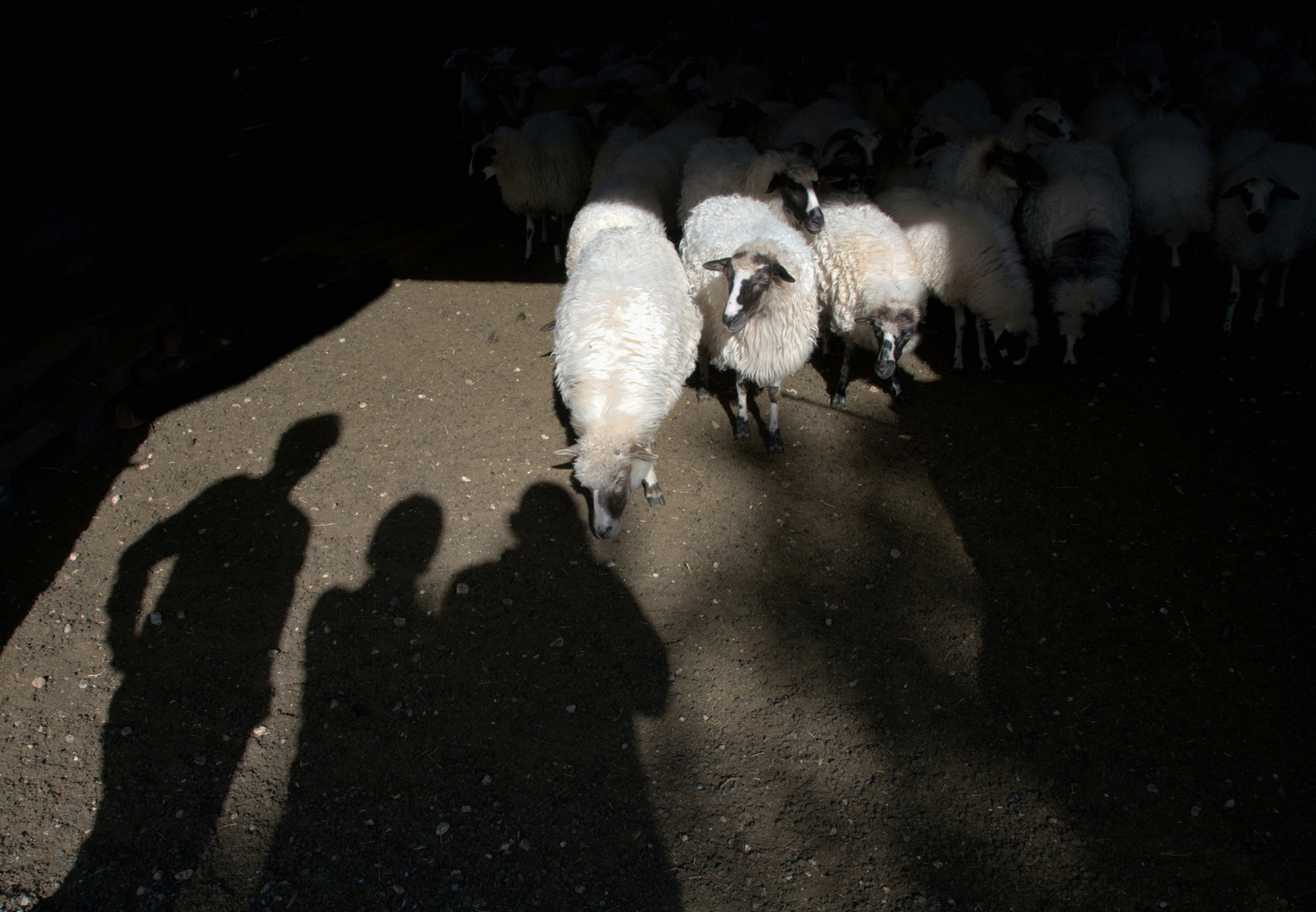 Licht und Schatten