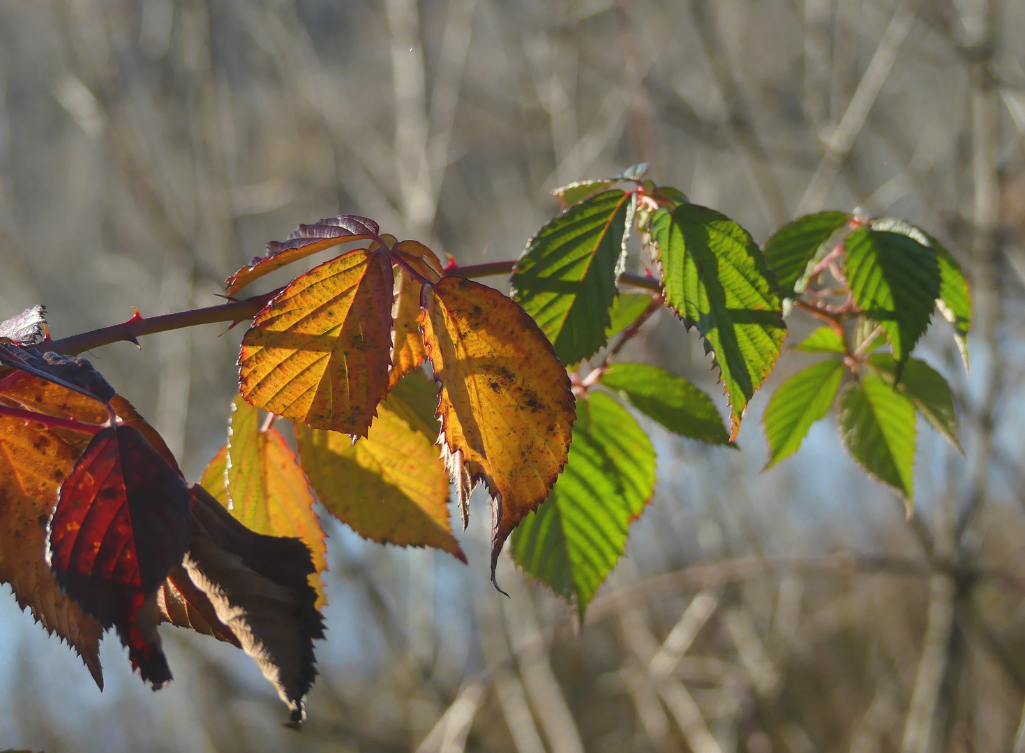 Licht und Schatten