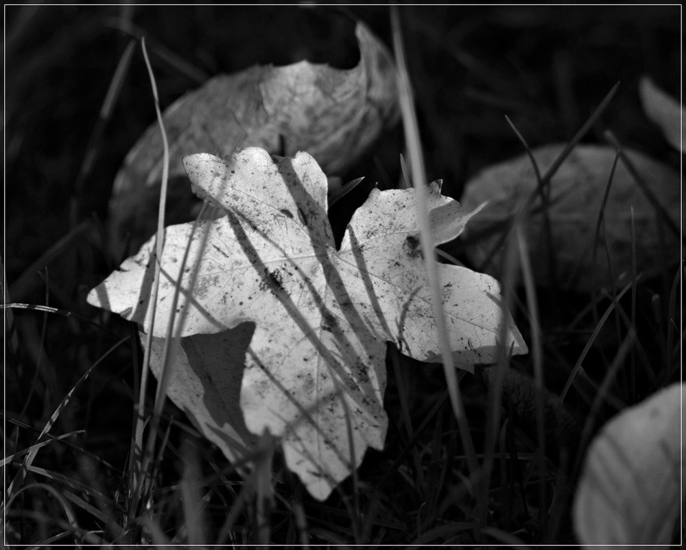 Licht und Schatten ...