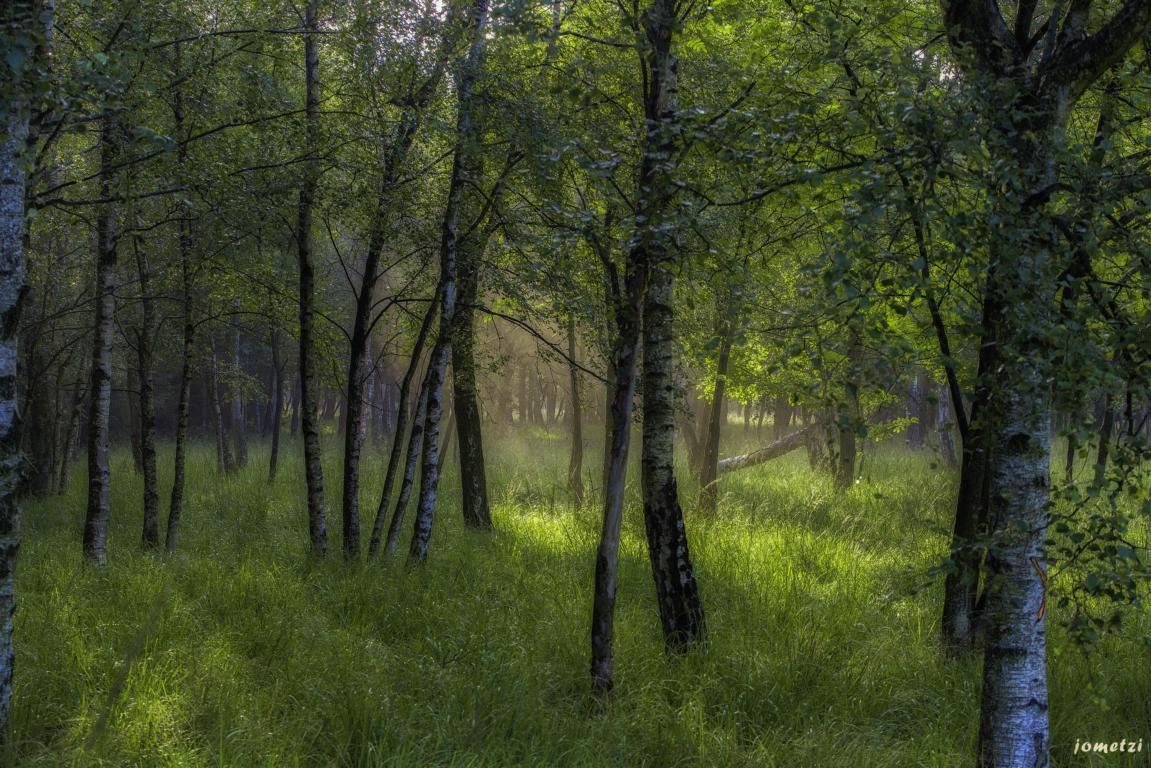 Licht und Schatten