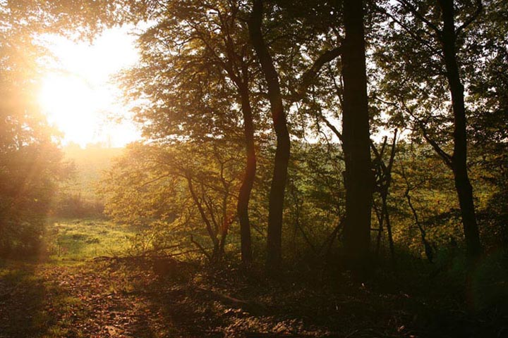 Licht und Schatten