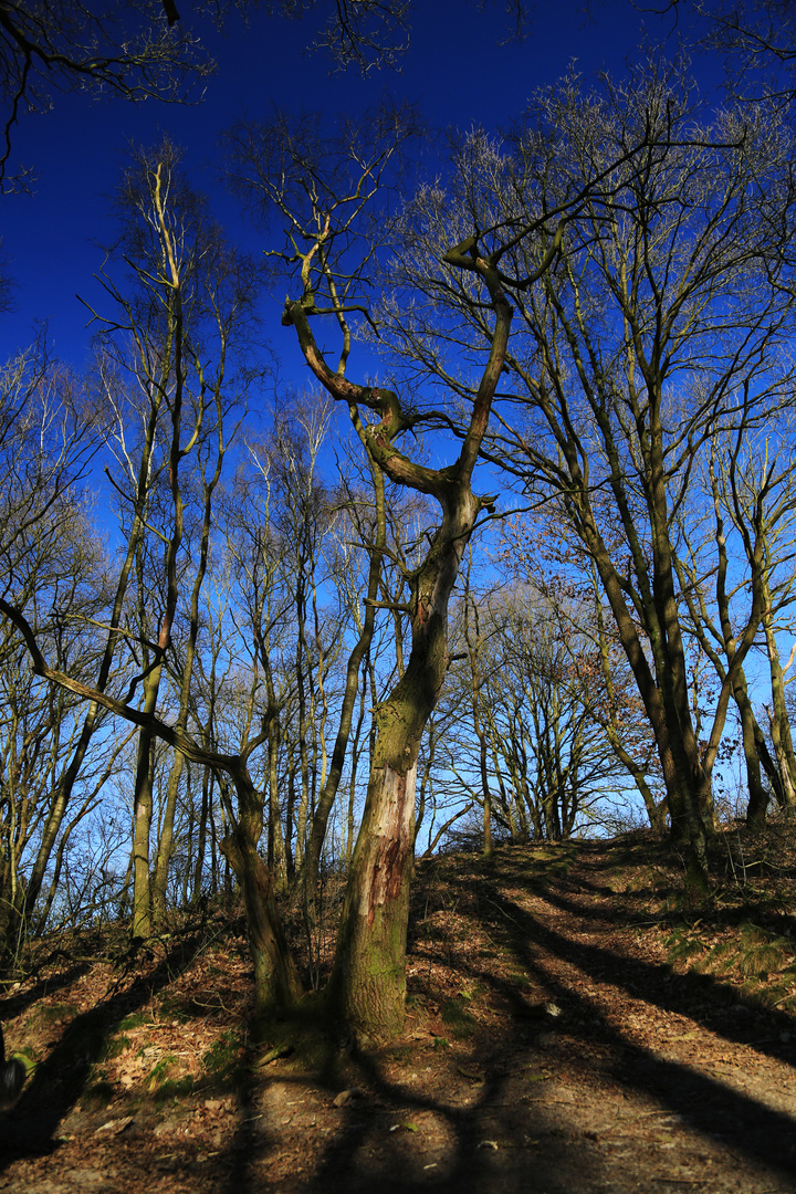 Licht und Schatten