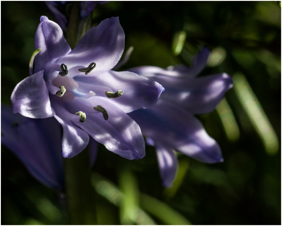 Licht und Schatten