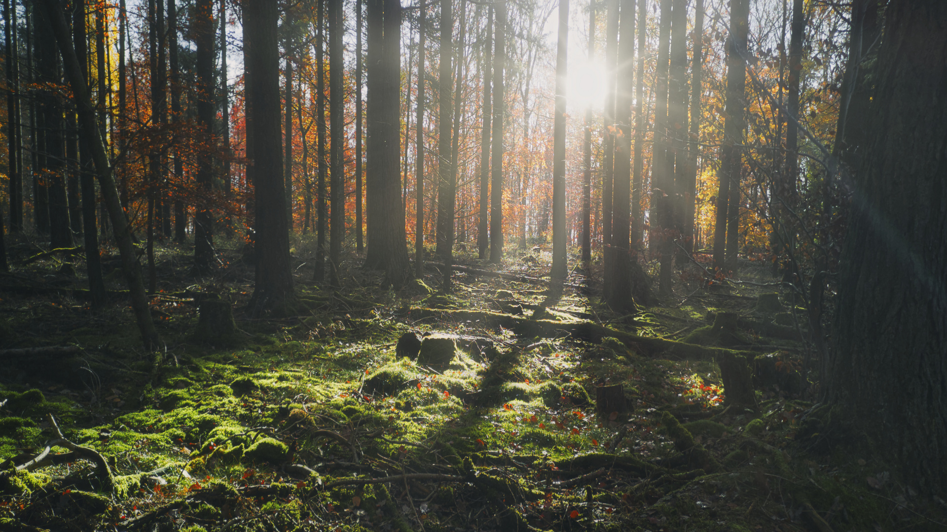 Licht und Schatten