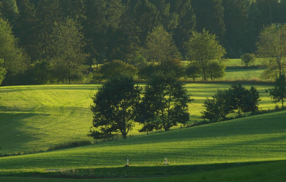 Licht und Schatten