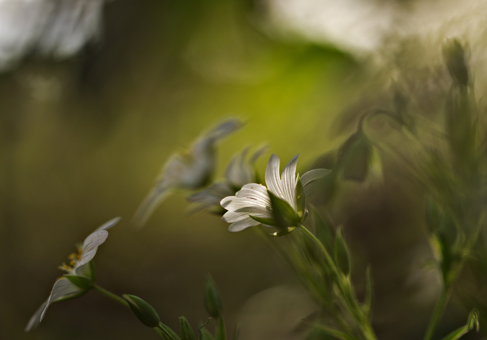 Licht und Schatten....