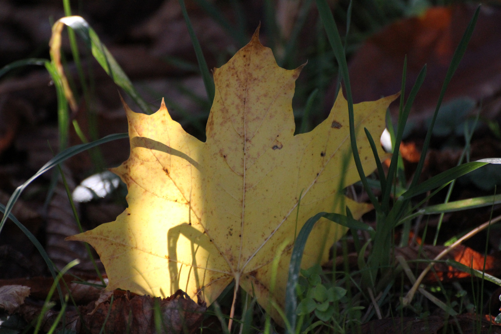 Licht und Schatten