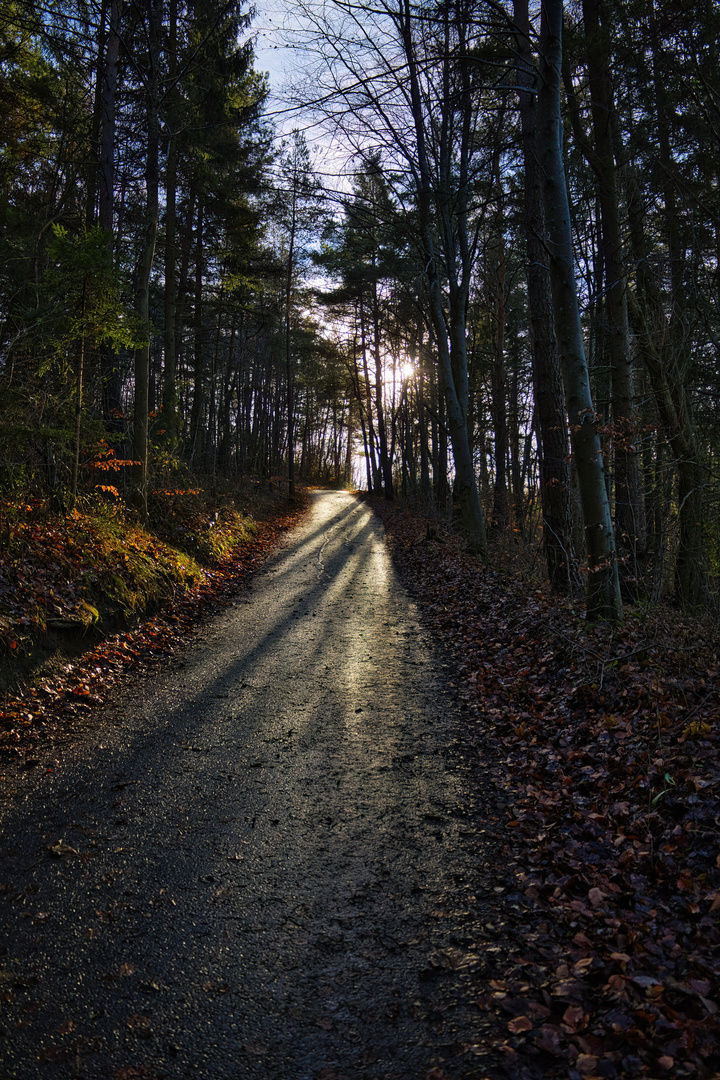 Licht und Schatten 