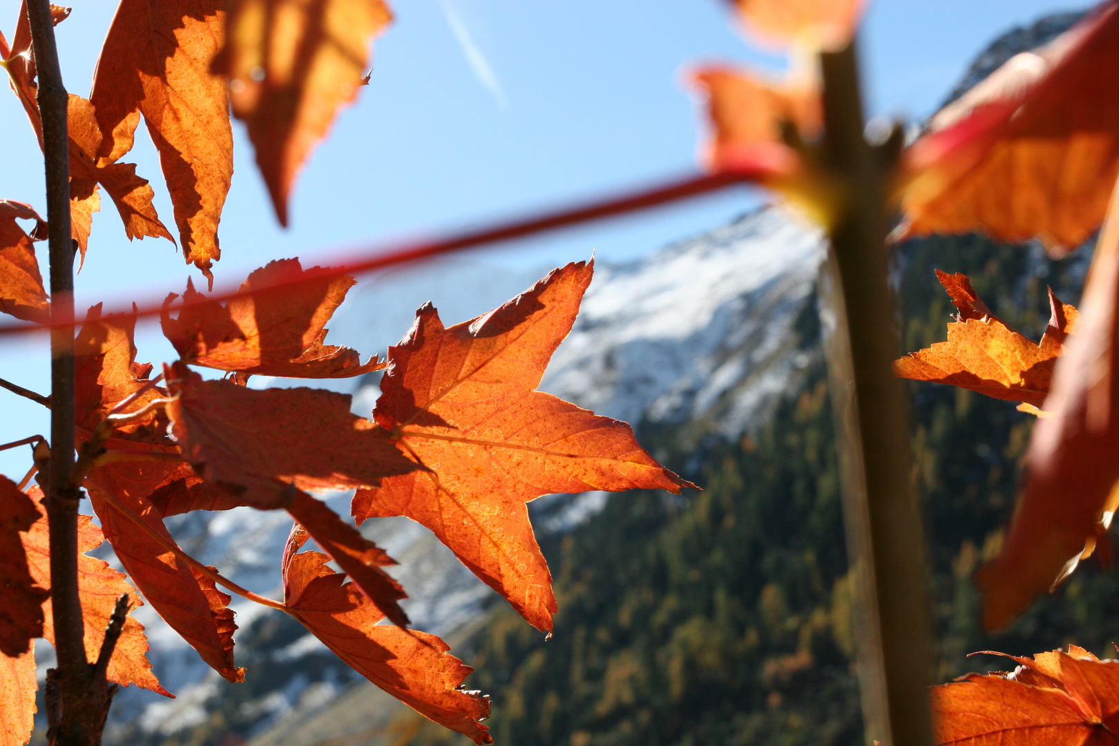 licht und Schatten