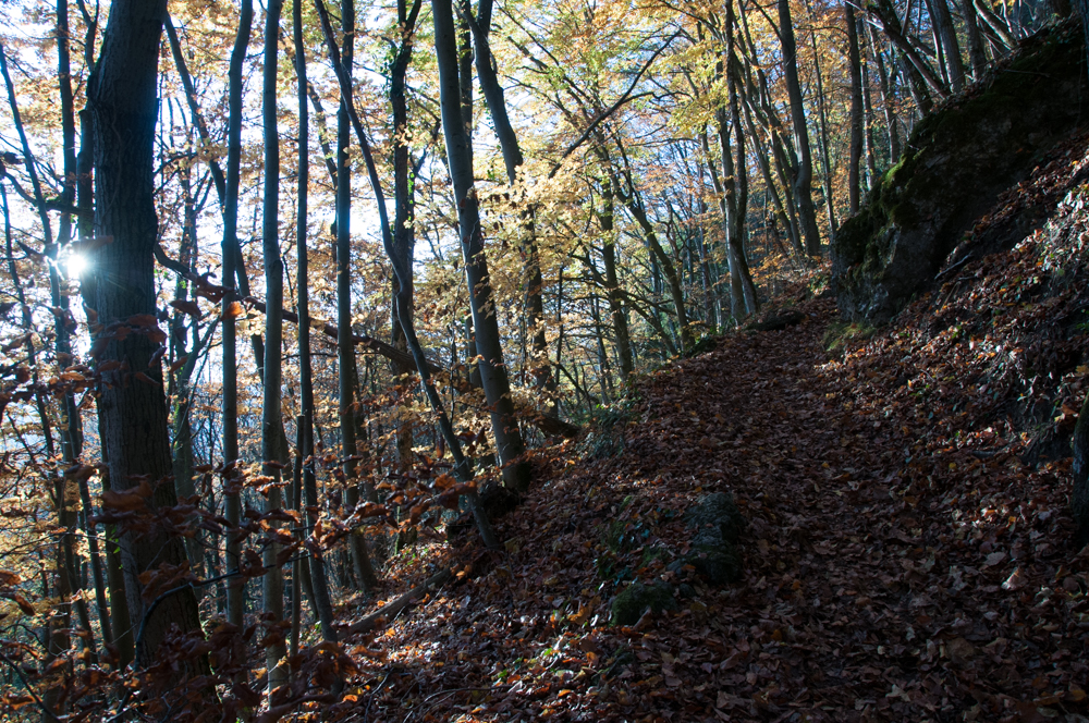 Licht und Schatten