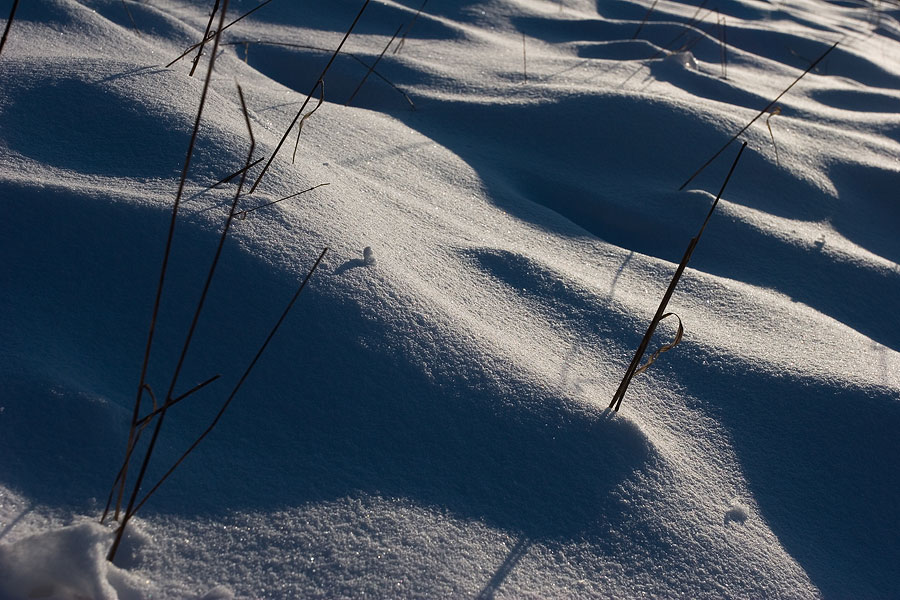 Licht und Schatten