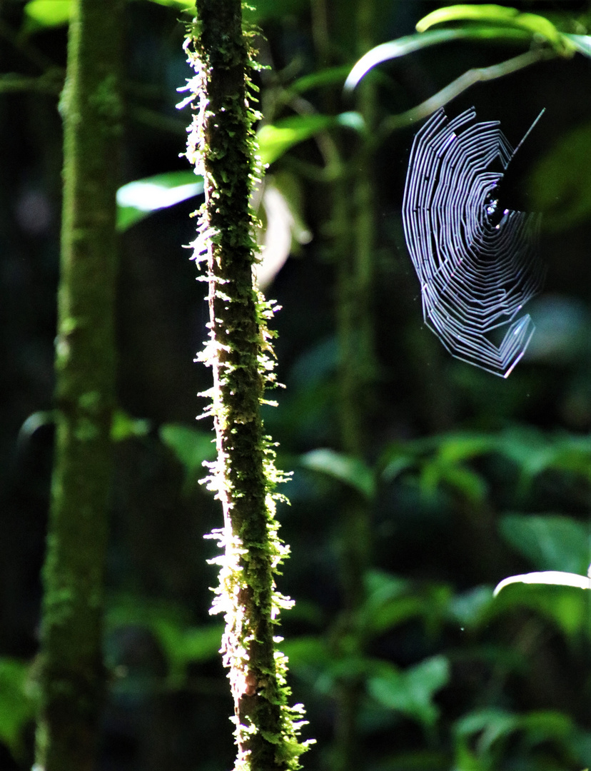 Licht und Schatten