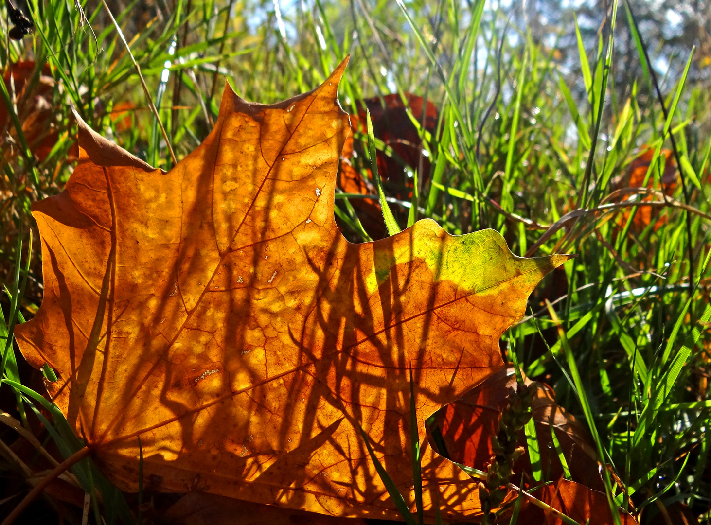 LICHT und SCHATTEN