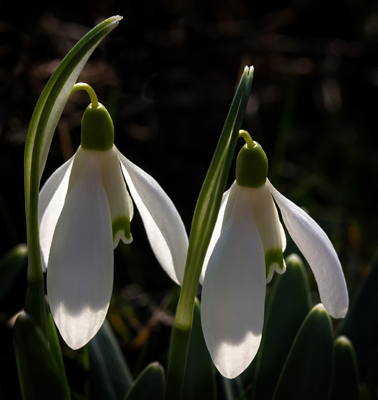 Licht und Schatten