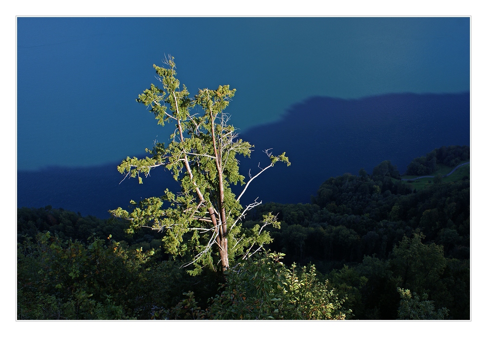 Licht und Schatten