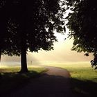 Licht und Schatten 7: Ein Morgenspaziergang