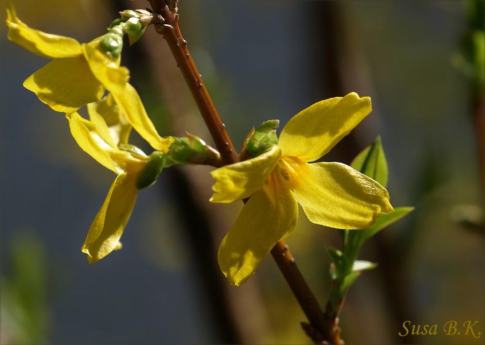 Licht und Schatten