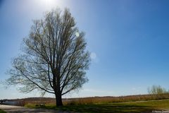 Licht und Schatten