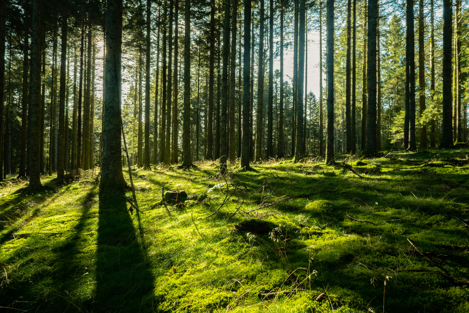 Licht und Schatten