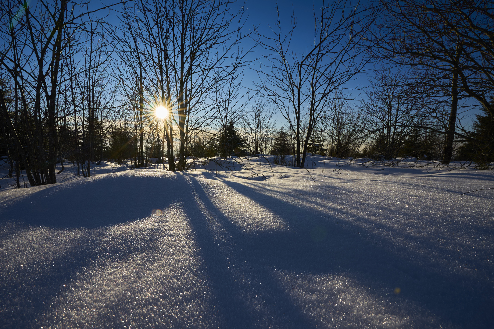 Licht und Schatten