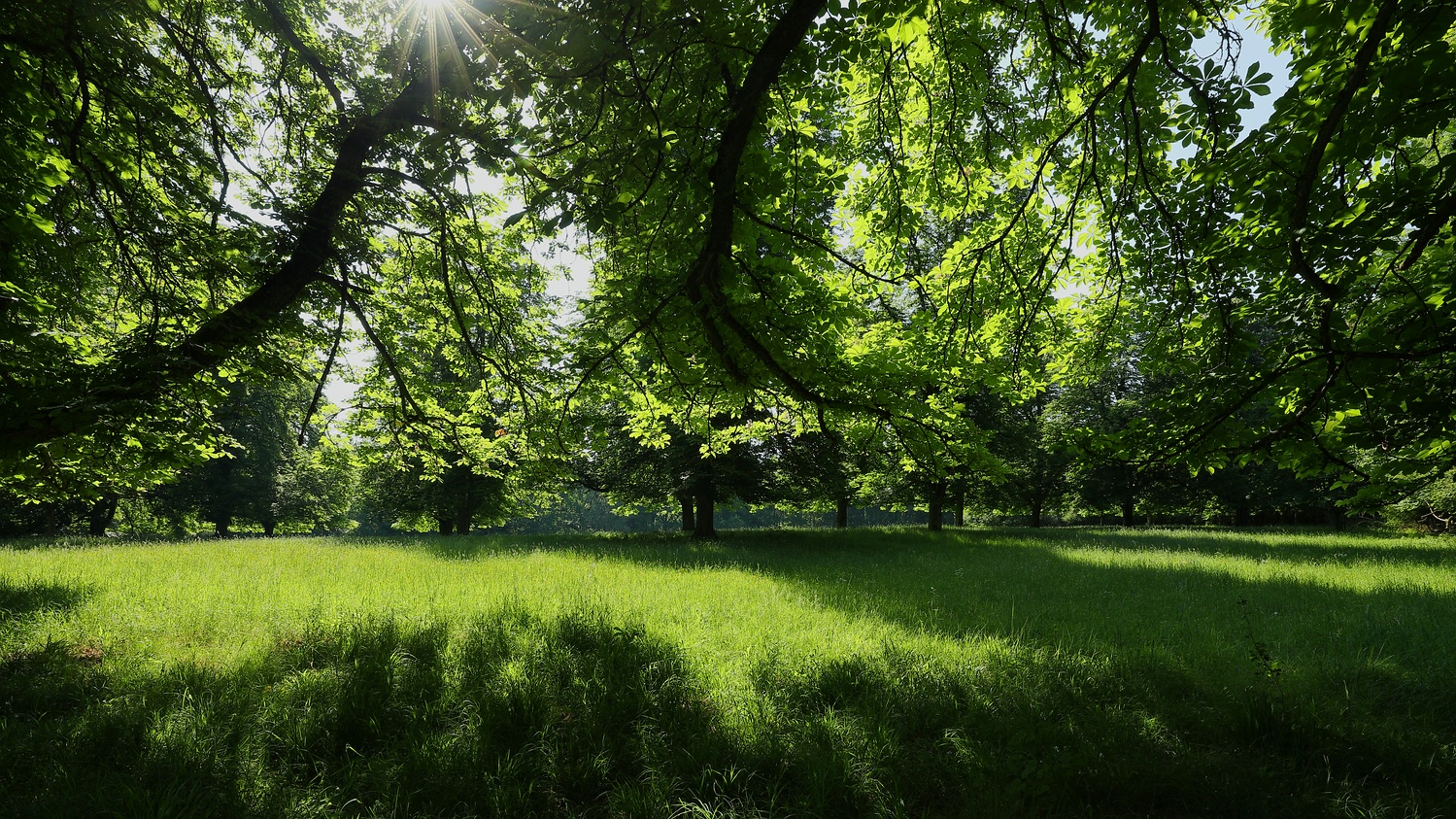 Licht und Schatten