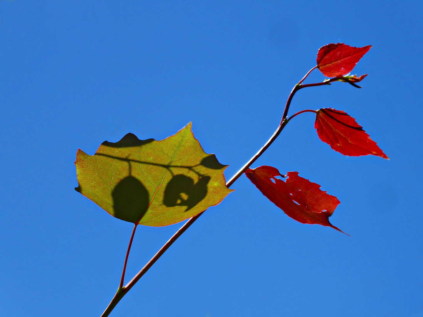 Licht und Schatten