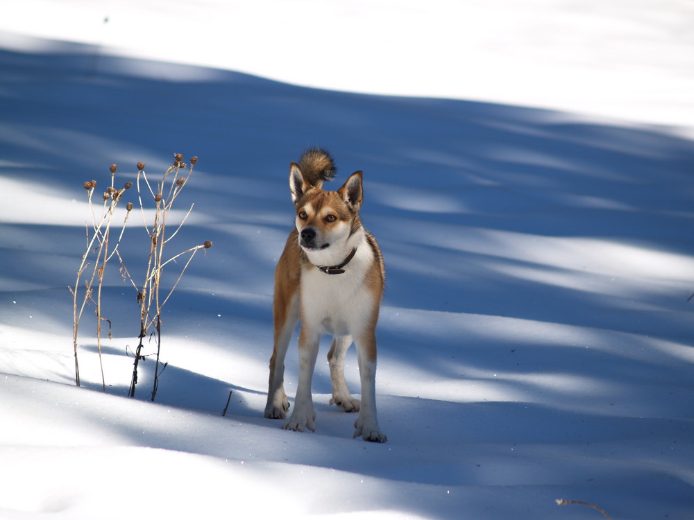 LICHT UND SCHATTEN